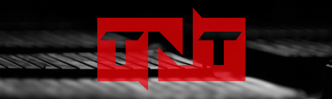 TNT Tracks and Tires for Skid Steer Loaders, CTLs and Excavators